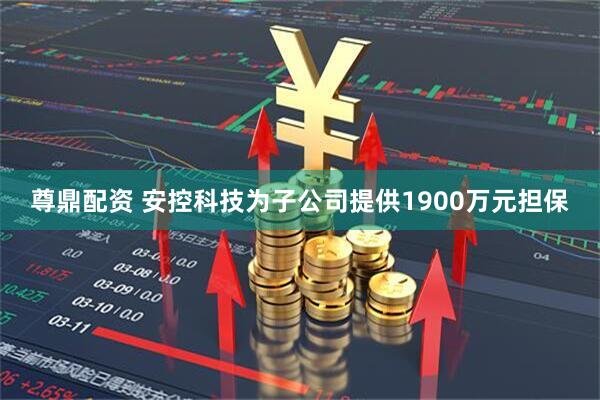 尊鼎配资 安控科技为子公司提供1900万元担保