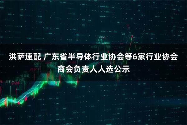 洪萨速配 广东省半导体行业协会等6家行业协会商会负责人人选公示