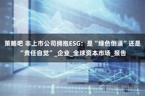 策略吧 非上市公司拥抱ESG：是“绿色倒逼”还是“责任自觉”_企业_全球资本市场_报告