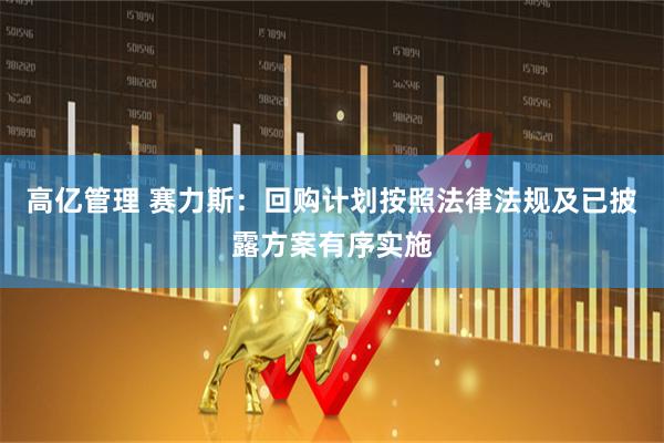 高亿管理 赛力斯：回购计划按照法律法规及已披露方案有序实施