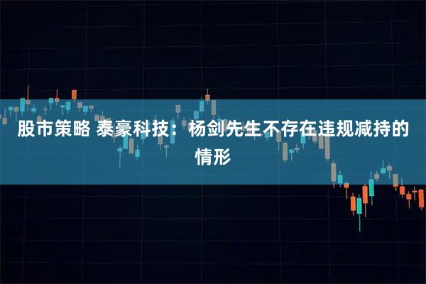 股市策略 泰豪科技：杨剑先生不存在违规减持的情形