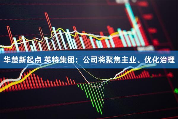 华楚新起点 英特集团：公司将聚焦主业、优化治理